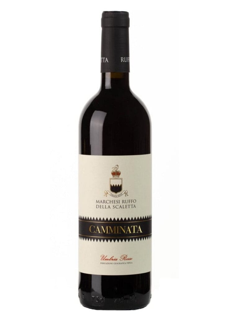 Camminata Merlot Marchesi Ruffo della Scaletta